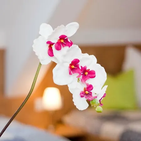 Ferienwohnung Wanner - Saulingstrasse *